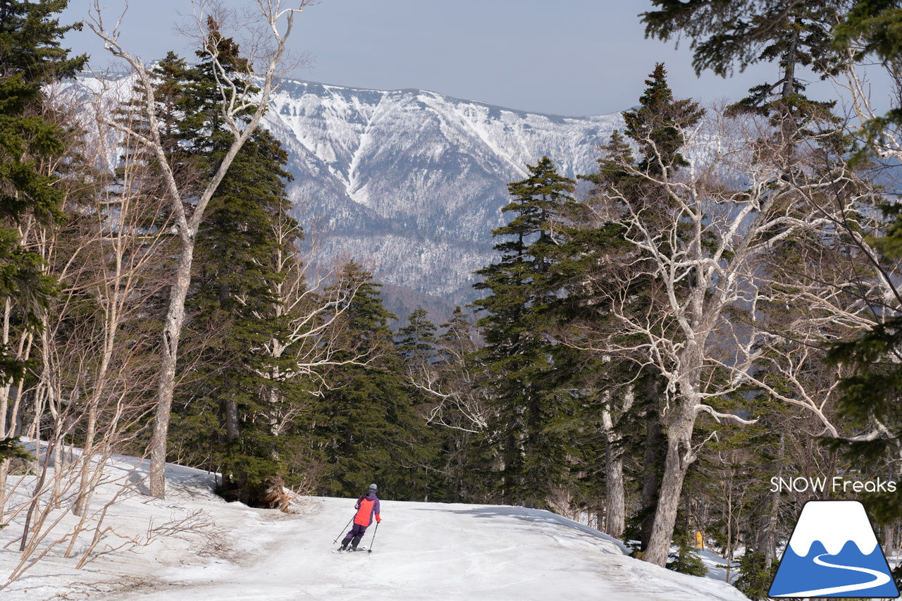 大雪山層雲峡・黒岳ロープウェイスキー場｜驚異の積雪 290cm！コンディション上々な黒岳で、最高に気持ちの良い春スキー＆スノーボードを楽しみましょう♪